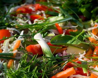 РЕЦЕПТЫ: Сендвичи с овощами